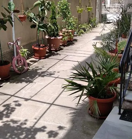 Apartman Draga *