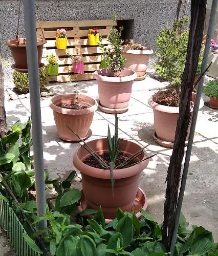 Draga דירה נסבר