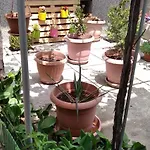 Draga Apartament Nesebyr
